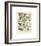 Poissons II-Adolphe Millot-Framed Giclee Print