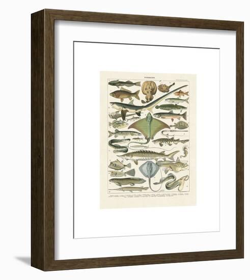 Poissons II-Adolphe Millot-Framed Giclee Print