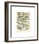 Poissons II-Adolphe Millot-Framed Giclee Print