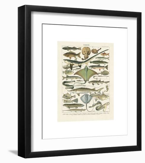 Poissons II-Adolphe Millot-Framed Giclee Print