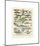 Poissons II-Adolphe Millot-Mounted Giclee Print