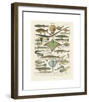 Poissons II-Adolphe Millot-Framed Giclee Print