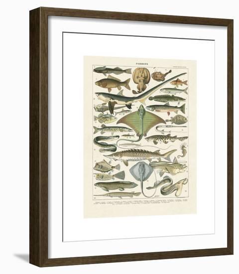 Poissons II-Adolphe Millot-Framed Giclee Print