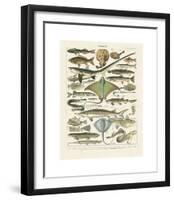 Poissons II-Adolphe Millot-Framed Giclee Print