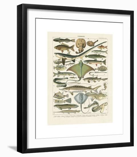 Poissons II-Adolphe Millot-Framed Giclee Print