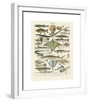 Poissons II-Adolphe Millot-Framed Giclee Print