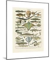 Poissons II-Adolphe Millot-Mounted Giclee Print