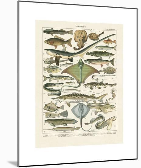 Poissons II-Adolphe Millot-Mounted Giclee Print