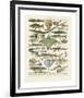 Poissons II-Adolphe Millot-Framed Giclee Print