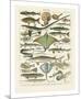 Poissons II-Adolphe Millot-Mounted Giclee Print