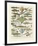 Poissons II-Adolphe Millot-Framed Giclee Print