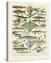Poissons II-Adolphe Millot-Stretched Canvas