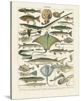 Poissons II-Adolphe Millot-Stretched Canvas