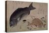 Poissons-Ando Hiroshige-Stretched Canvas