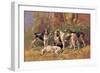 Poitou Hounds-Baron Karl Reille-Framed Art Print