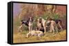 Poitou Hounds-Baron Karl Reille-Framed Stretched Canvas