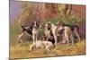 Poitou Hounds-Baron Karl Reille-Mounted Art Print