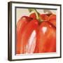 Poivron Rouge, c.2006-Nathalie Clement-Framed Premium Giclee Print