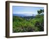 Pok Fu Lam, Wanchai, Hong Kong-Robert Francis-Framed Photographic Print