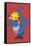 Pokémon - Pikachu and Cramorant-Trends International-Framed Stretched Canvas