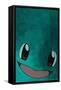 Pokémon - Squirtle Face-Trends International-Framed Stretched Canvas