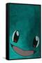 Pokémon - Squirtle Face-Trends International-Framed Stretched Canvas