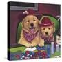 Poker Dogs-Jenny Newland-Stretched Canvas