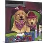 Poker Dogs-Jenny Newland-Mounted Giclee Print