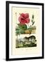 Pokeweed, 1833-39-null-Framed Giclee Print