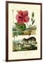 Pokeweed, 1833-39-null-Framed Giclee Print