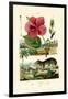 Pokeweed, 1833-39-null-Framed Giclee Print