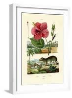 Pokeweed, 1833-39-null-Framed Giclee Print