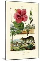 Pokeweed, 1833-39-null-Mounted Giclee Print