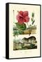 Pokeweed, 1833-39-null-Framed Stretched Canvas