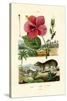 Pokeweed, 1833-39-null-Stretched Canvas