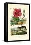 Pokeweed, 1833-39-null-Framed Stretched Canvas