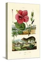 Pokeweed, 1833-39-null-Stretched Canvas