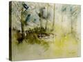Stretched Canvas
