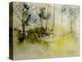 Stretched Canvas