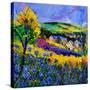Stretched Canvas