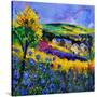 Stretched Canvas