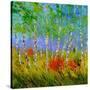 Stretched Canvas