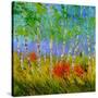 Stretched Canvas