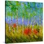 Stretched Canvas