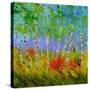 Stretched Canvas
