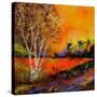 Stretched Canvas