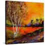 Stretched Canvas