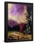 Essential Black