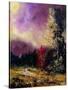 Stretched Canvas