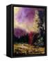 Canvas Black
